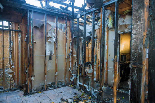 Professional Fire Damage Removal technician working in Wagener, SC